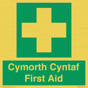 FE12896: Cymorth Cyntaf First Aid in Welsh