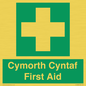 FE12896: Cymorth Cyntaf First Aid in Welsh