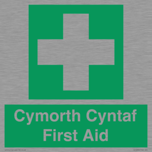 FE12896: Cymorth Cyntaf First Aid in Welsh