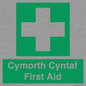 FE12896: Cymorth Cyntaf First Aid in Welsh