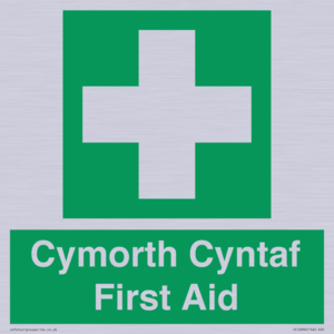 FE12896: Cymorth Cyntaf First Aid in Welsh