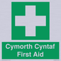 FE12896: Cymorth Cyntaf First Aid in Welsh