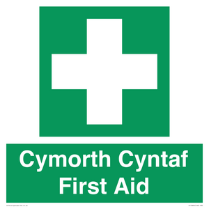 FE12896: Cymorth Cyntaf First Aid in Welsh