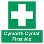 FE12896: Cymorth Cyntaf First Aid in Welsh