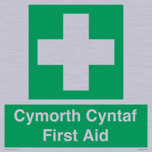 FE12896: Cymorth Cyntaf First Aid in Welsh