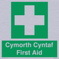 FE12896: Cymorth Cyntaf First Aid in Welsh