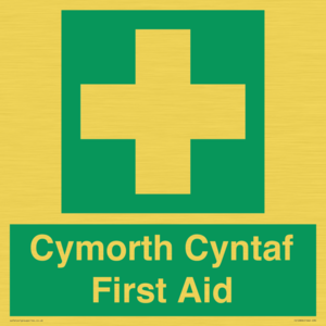 FE12896: Cymorth Cyntaf First Aid in Welsh