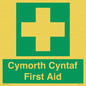FE12896: Cymorth Cyntaf First Aid in Welsh
