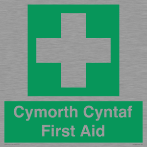 FE12896: Cymorth Cyntaf First Aid in Welsh