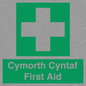 FE12896: Cymorth Cyntaf First Aid in Welsh