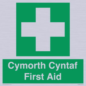 FE12896: Cymorth Cyntaf First Aid in Welsh