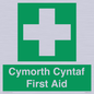 FE12896: Cymorth Cyntaf First Aid in Welsh