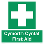 FE12896: Cymorth Cyntaf First Aid in Welsh
