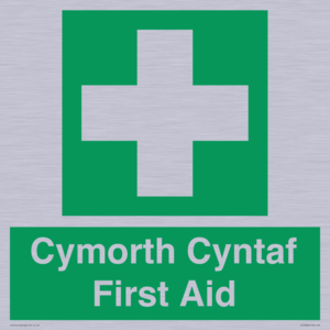 FE12896: Cymorth Cyntaf First Aid in Welsh