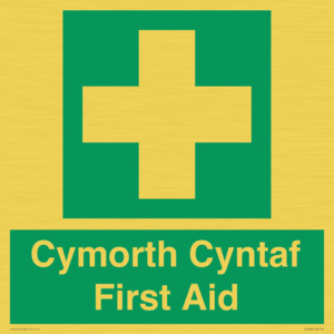 FE12896: Cymorth Cyntaf First Aid in Welsh