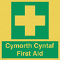 FE12896: Cymorth Cyntaf First Aid in Welsh