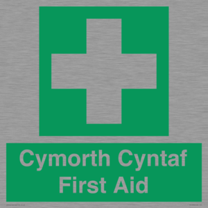 FE12896: Cymorth Cyntaf First Aid in Welsh