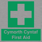FE12896: Cymorth Cyntaf First Aid in Welsh