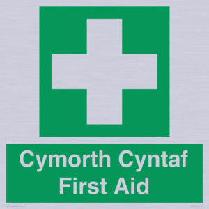 FE12896: Cymorth Cyntaf First Aid in Welsh