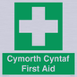 FE12896: Cymorth Cyntaf First Aid in Welsh