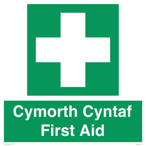 FE12896: Cymorth Cyntaf First Aid in Welsh