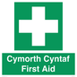 FE12896: Cymorth Cyntaf First Aid in Welsh