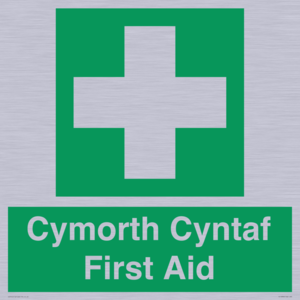 FE12896: Cymorth Cyntaf First Aid in Welsh