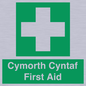 FE12896: Cymorth Cyntaf First Aid in Welsh