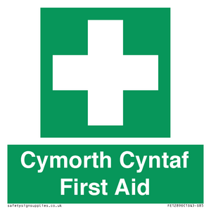 FE12896: Cymorth Cyntaf First Aid in Welsh
