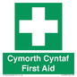 FE12896: Cymorth Cyntaf First Aid in Welsh