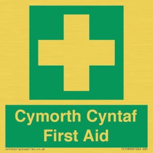 FE12896: Cymorth Cyntaf First Aid in Welsh