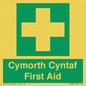 FE12896: Cymorth Cyntaf First Aid in Welsh