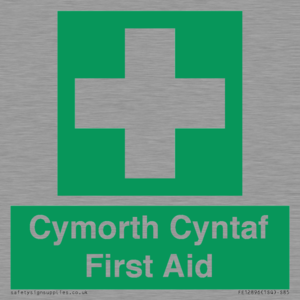 FE12896: Cymorth Cyntaf First Aid in Welsh