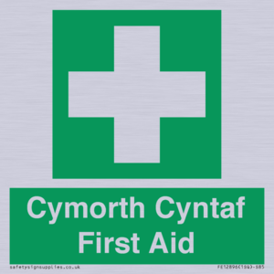 FE12896: Cymorth Cyntaf First Aid in Welsh
