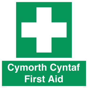FE12896: Cymorth Cyntaf First Aid in Welsh