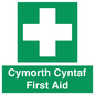 FE12896: Cymorth Cyntaf First Aid in Welsh