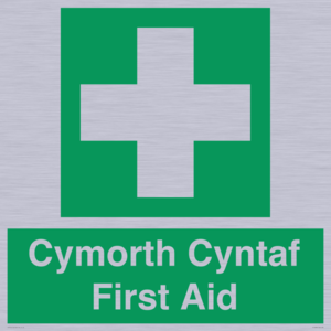 FE12896: Cymorth Cyntaf First Aid in Welsh
