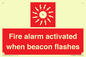 FP10636: Fire alarm activated when beacon flashes