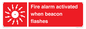 FP10636: Fire alarm activated when beacon flashes