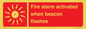 FP10636: Fire alarm activated when beacon flashes