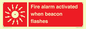 FP10636: Fire alarm activated when beacon flashes