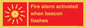 FP10636: Fire alarm activated when beacon flashes