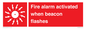 FP10636: Fire alarm activated when beacon flashes