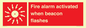 FP10636: Fire alarm activated when beacon flashes