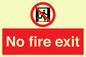 FP10953: No Fire Exit