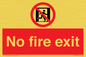 FP10953: No Fire Exit