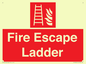 FV10434: Fire Escape Ladder