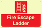 FV10434: Fire Escape Ladder