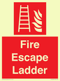 FV10434: Fire Escape Ladder