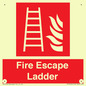 FV10434: Fire Escape Ladder
